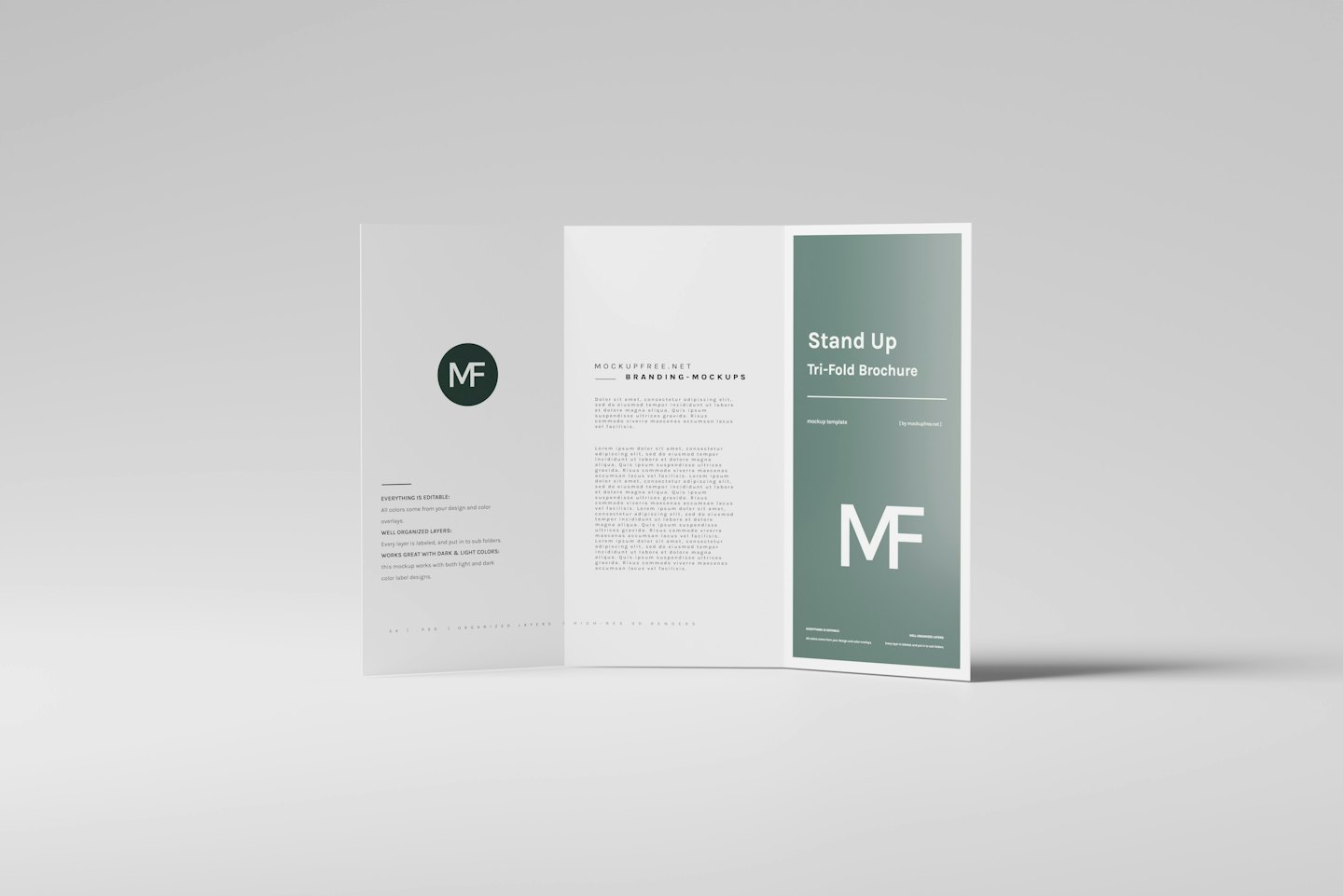 Otwarty trójdzielny mockup broszury z zielonym logo MF.
